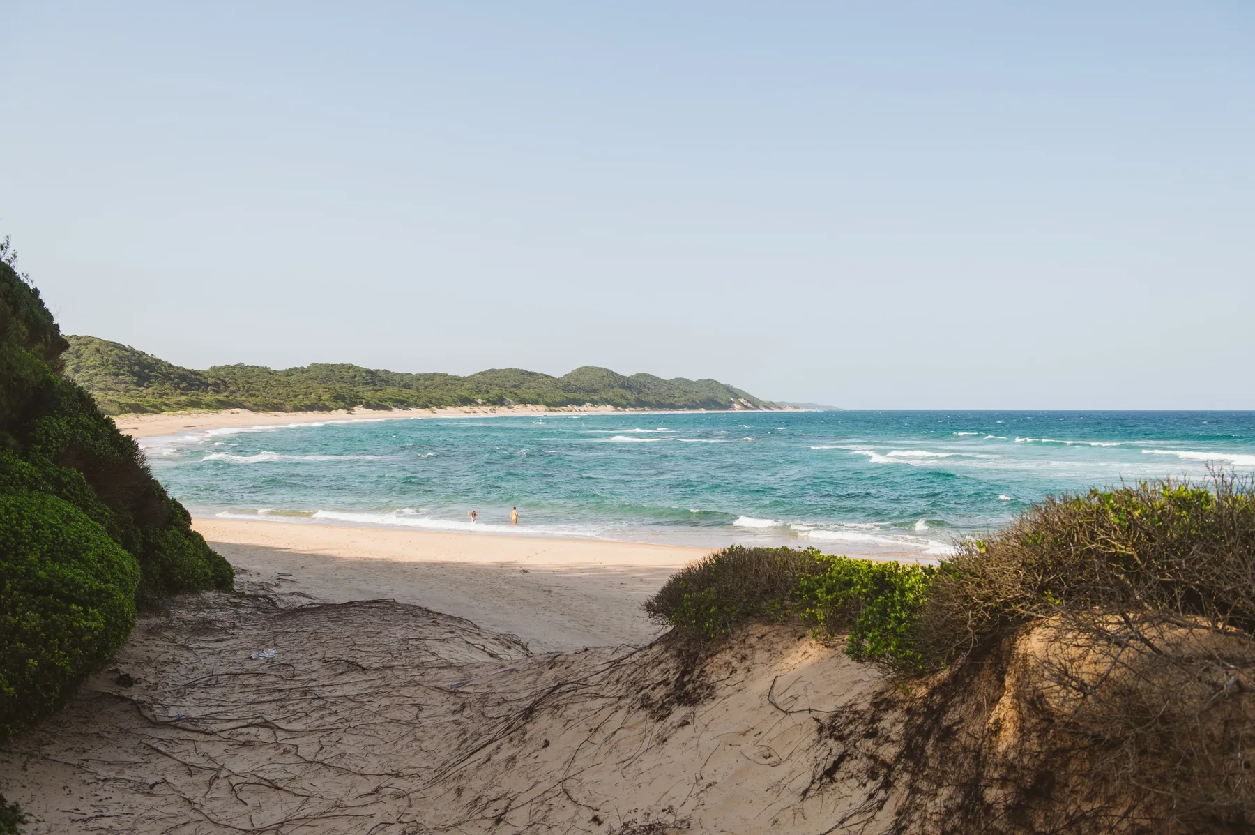 Wild Indian Ocean coastline in Maputaland