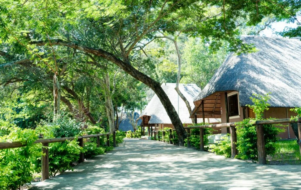 Galaxy Forest Lodge in the indigenous Manguzi forest