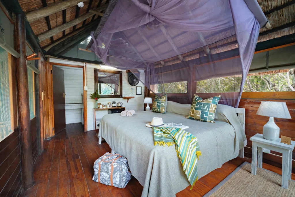 Forest Room at Kosi Forest Lodge, set beneath the indigenous forest canopy in Maputaland