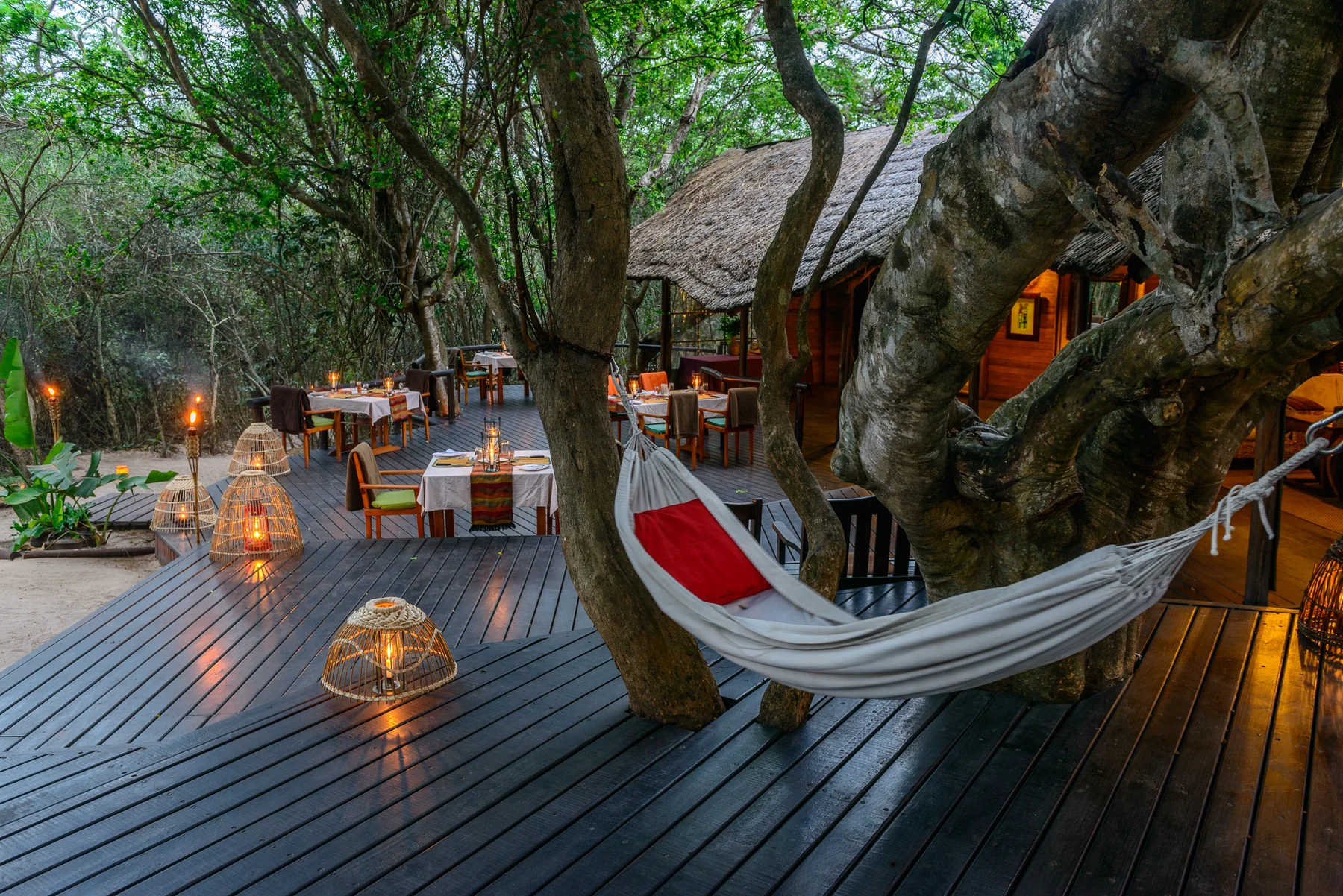 Kosi Forest Lodge main deck and outdoor dining area beneath mature forest trees