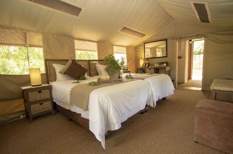 Safari suite at Tembe Elephant Park Lodge