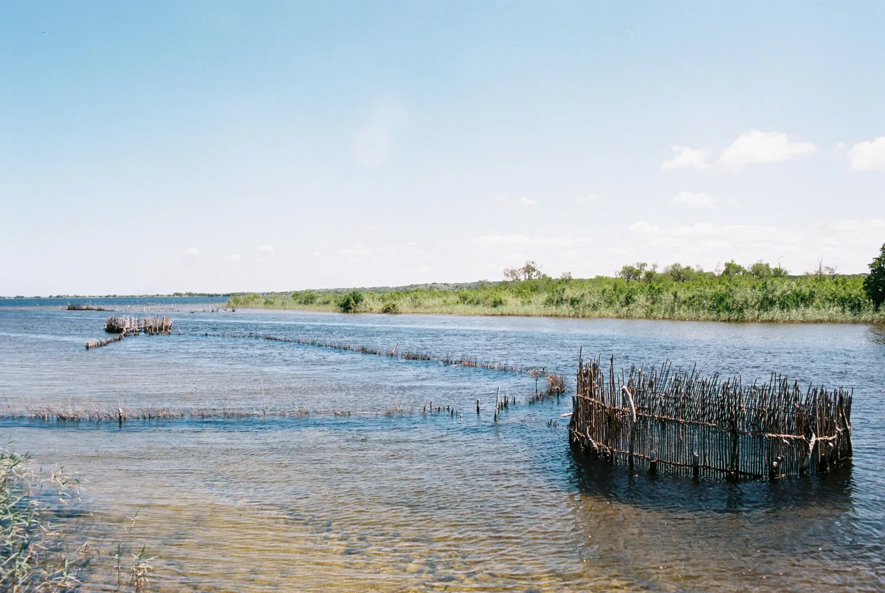 Traditional fish kraals in the Kosi lake system in northern Maputaland