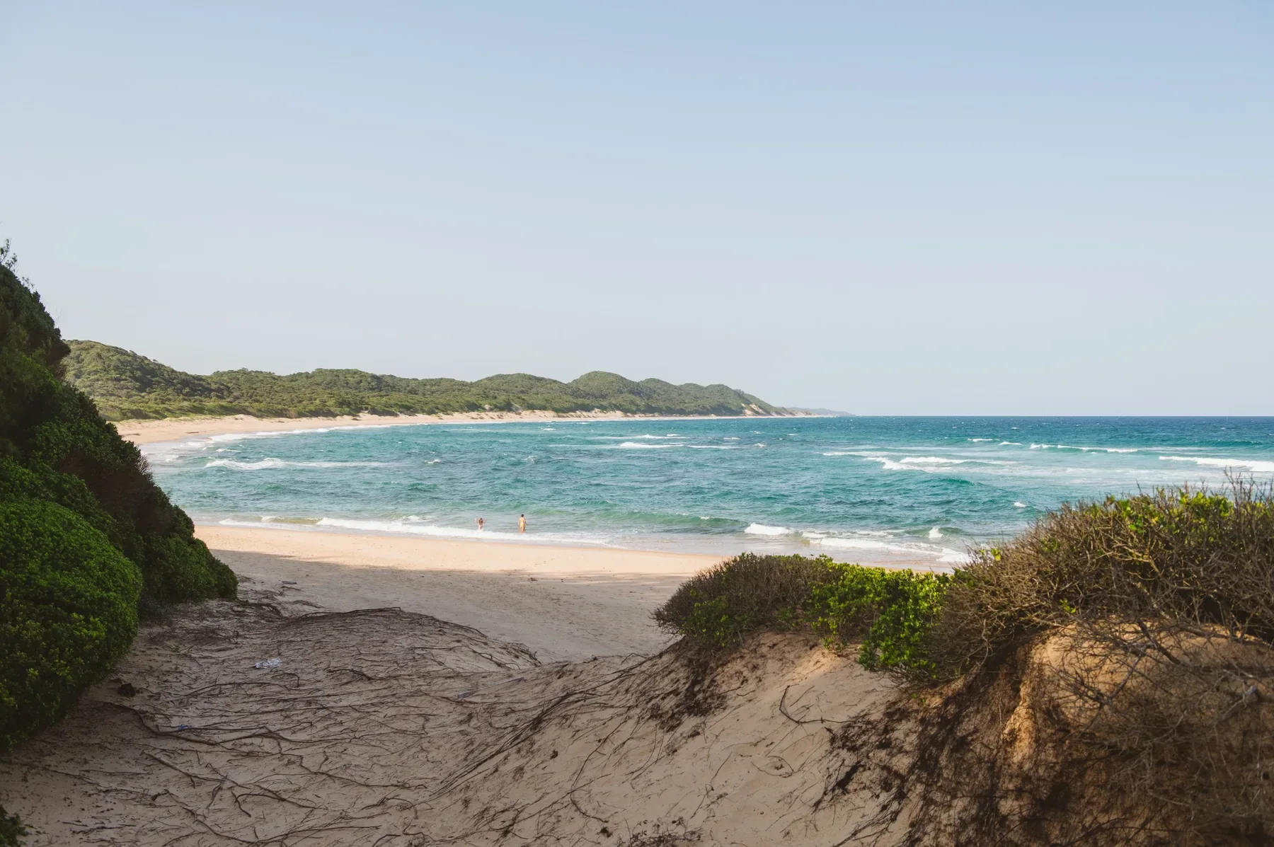 Wild Indian Ocean beach and vegetated dunes on the Maputaland coast near Sodwana Bay